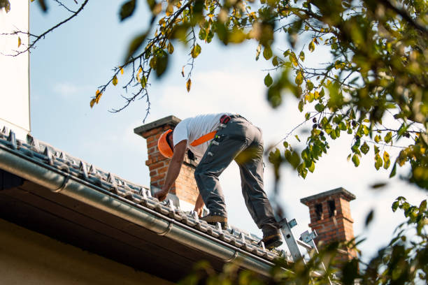 Best Roof Waterproofing Services  in Frenchtown, NJ