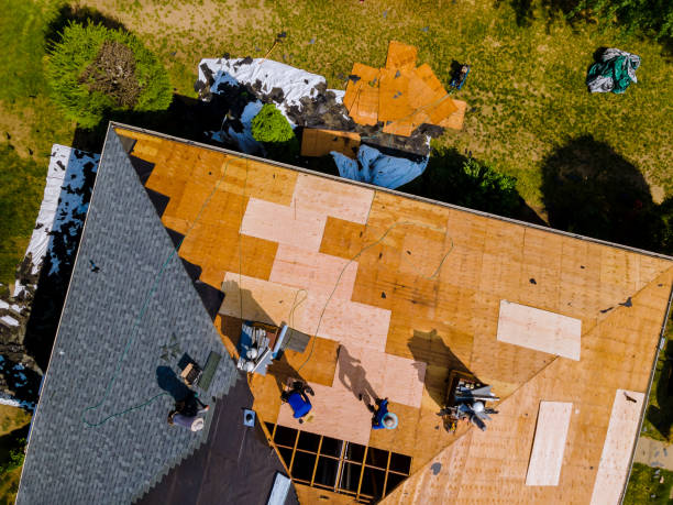 Best Metal Roofing Contractor  in Frenchtown, NJ