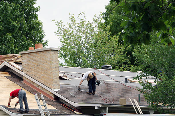 Best Flat Roof Repair Services  in Frenchtown, NJ